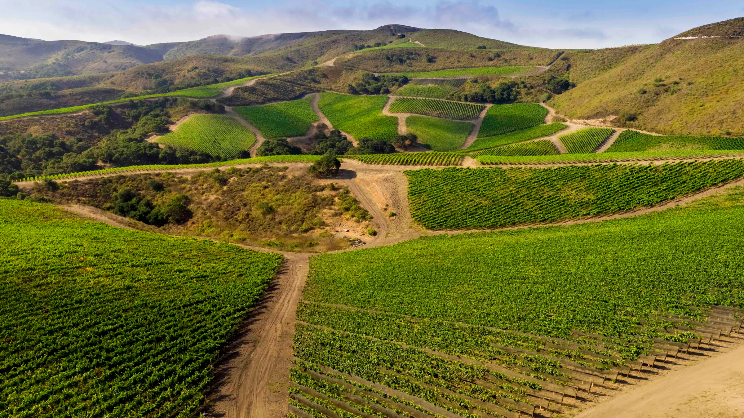 The Hilt Pinot Bowl